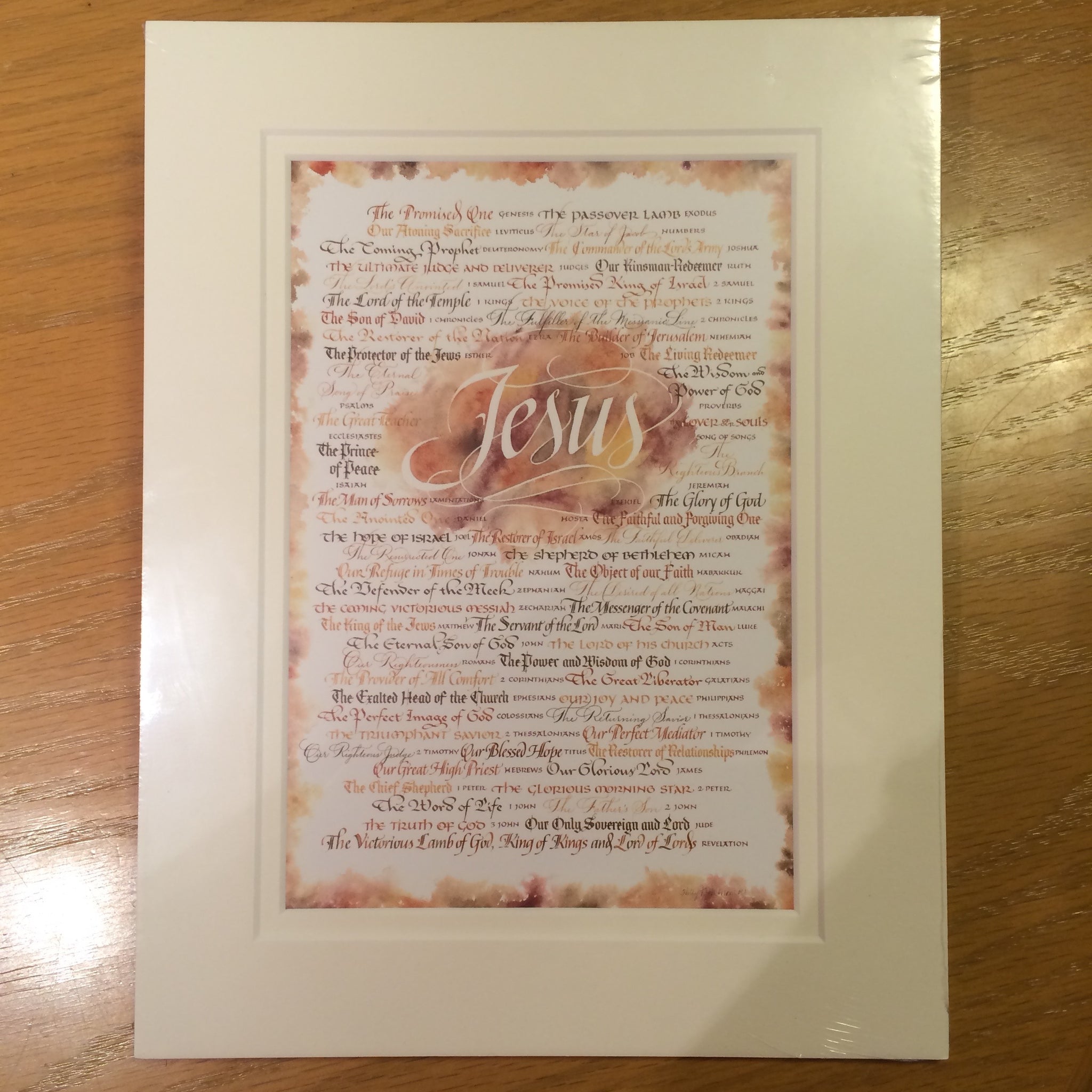 Jesus Revealed Matted Mini Print