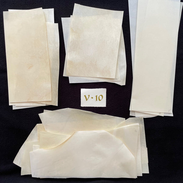 Vellum Off Cuts Calfskin